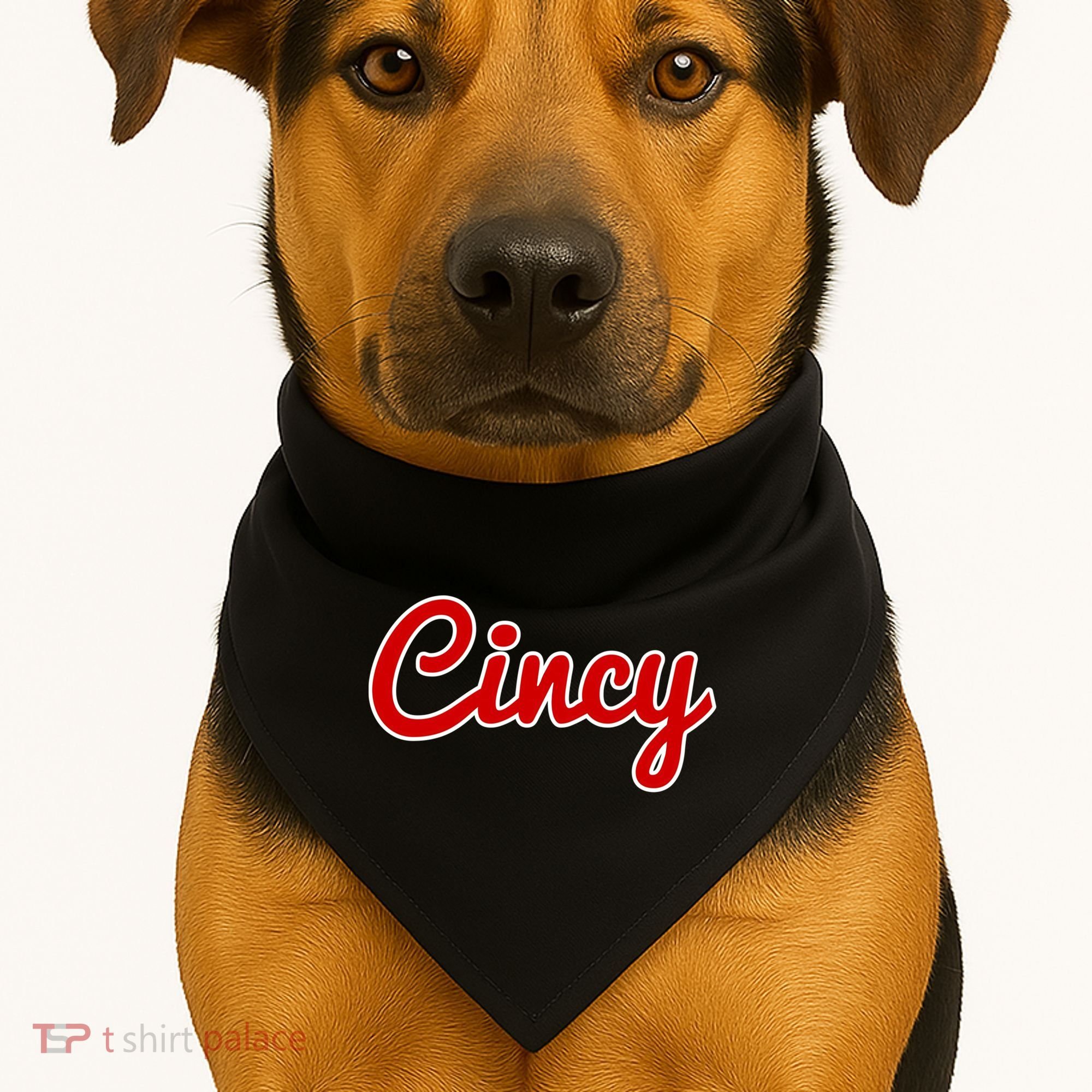 Cincinnati Ohio Classic Red Script Cincy City Gift USA-Made Doggie Bandana