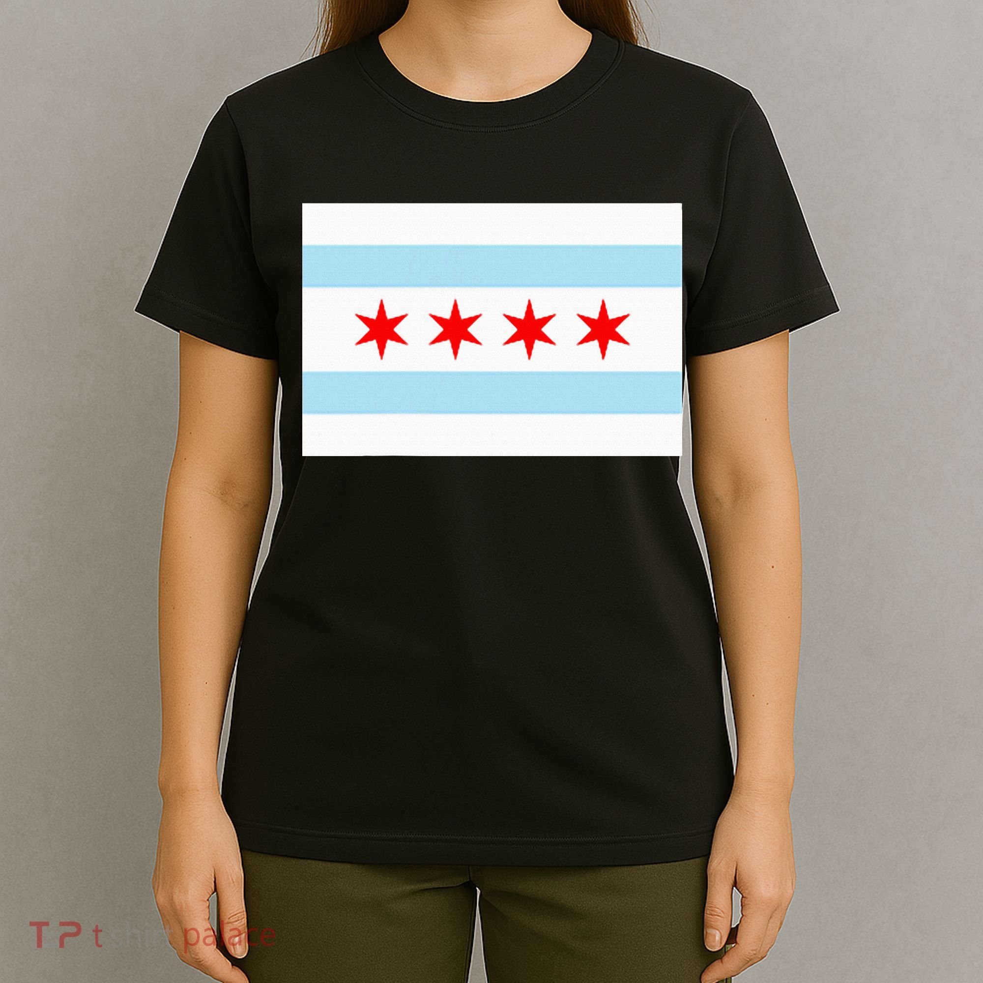 City Of Chicago Illinois Flag Windy City T-Shirt