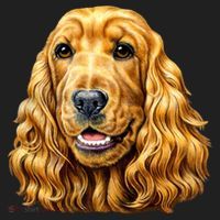 Cocker Spaniel Face Beanie thumb 2