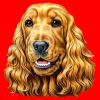 Cocker Spaniel Face Santa Hat thumb 1