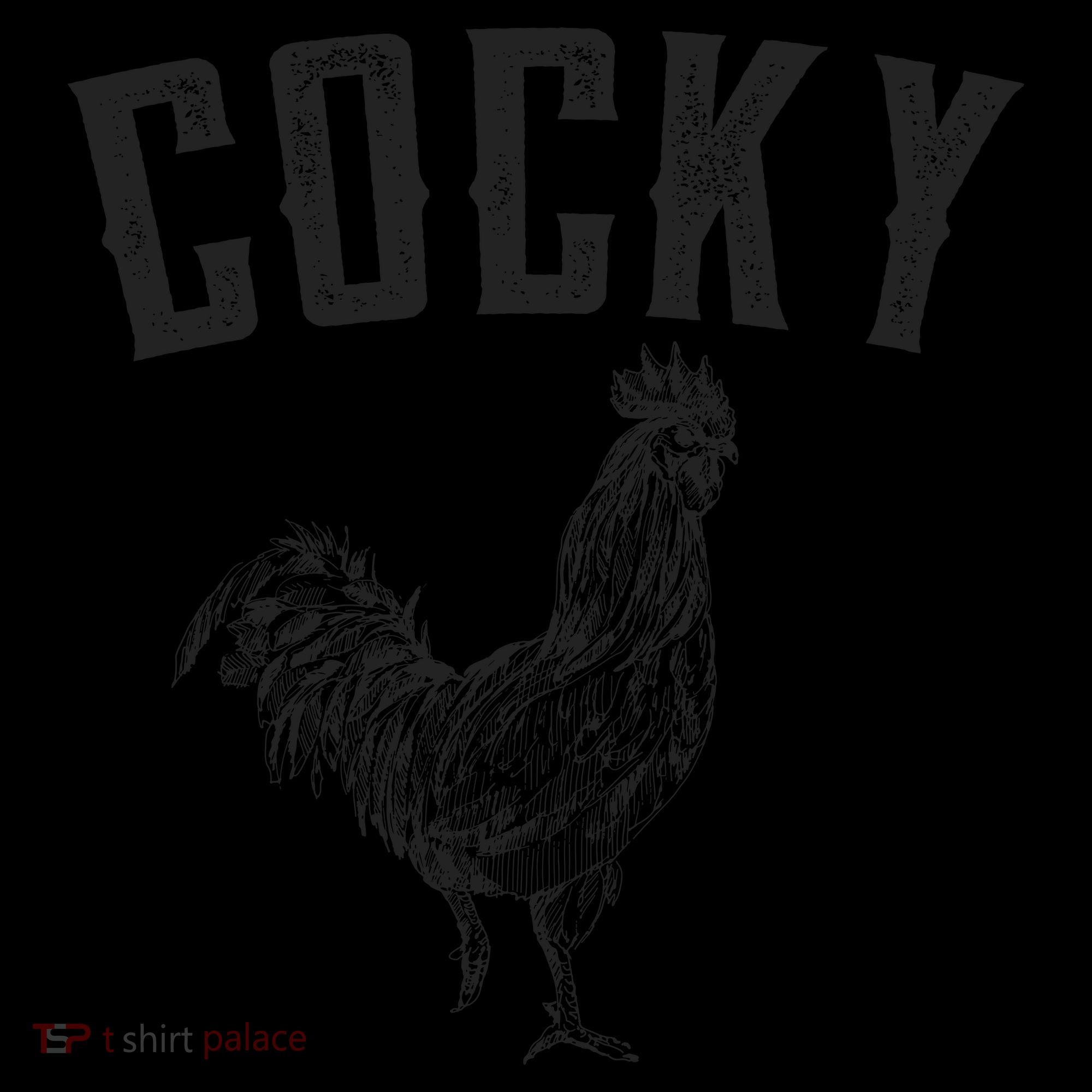 Cocky Rooster Kids Colorblock Raglan Jersey