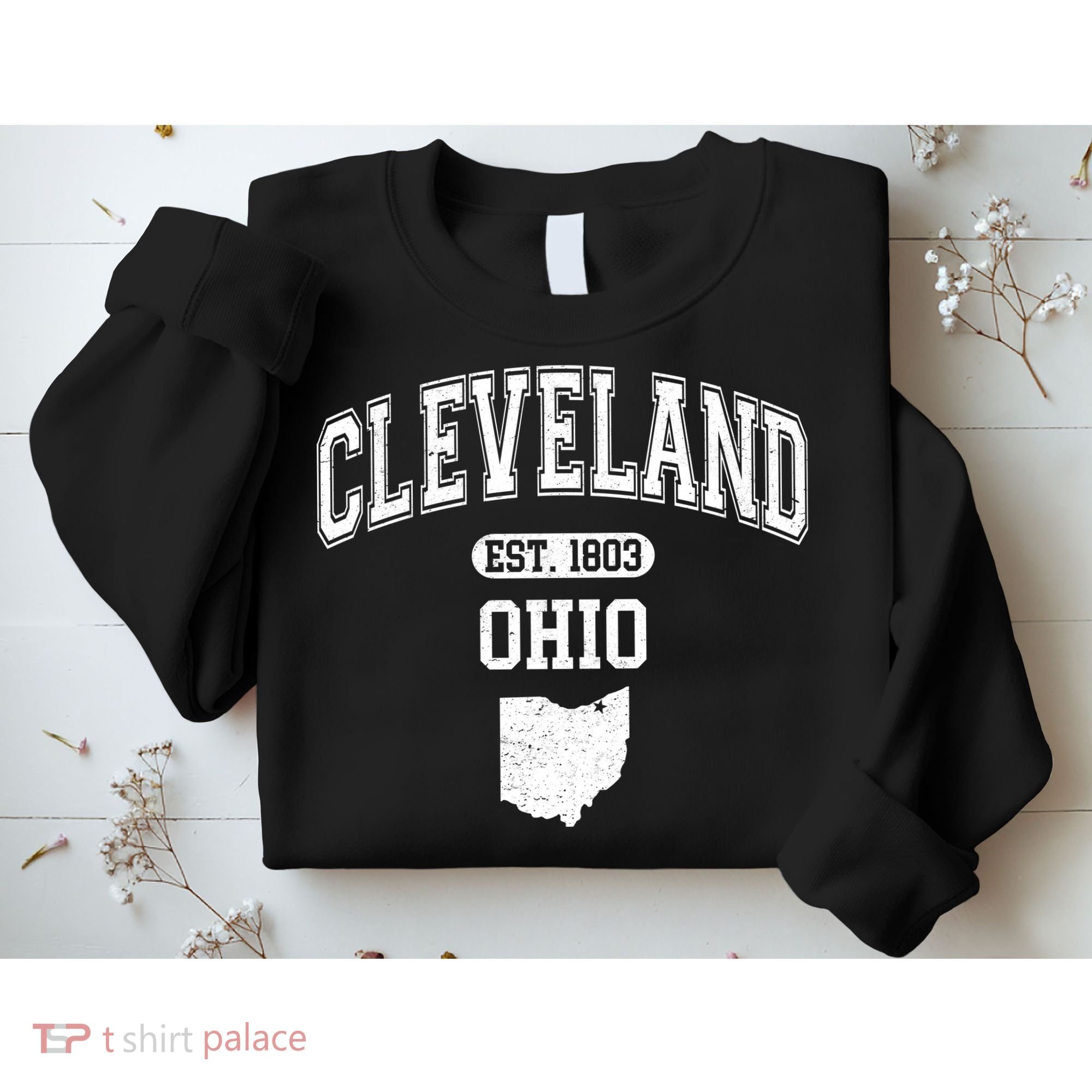 Cleveland Ohio Est 1803 Varsity Sweatshirt