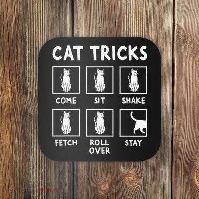 Cat Owner Funny Cat Tricks For Feline Kitten Lover Coaster