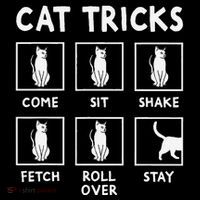 Cat Owner Funny Cat Tricks For Feline Kitten Lover Women's Hoodie thumb 2