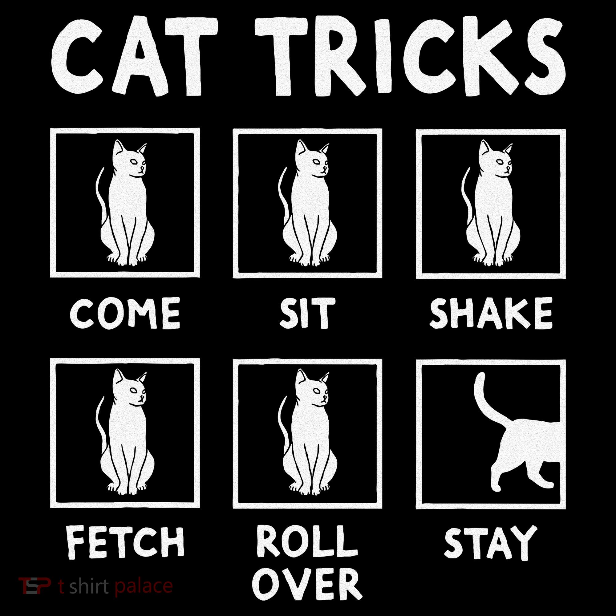 Cat Owner Funny Cat Tricks For Feline Kitten Lover Women's Hoodie