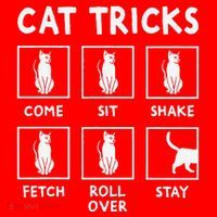 Cat Owner Funny Cat Tricks For Feline Kitten Lover Santa Hat thumb 1