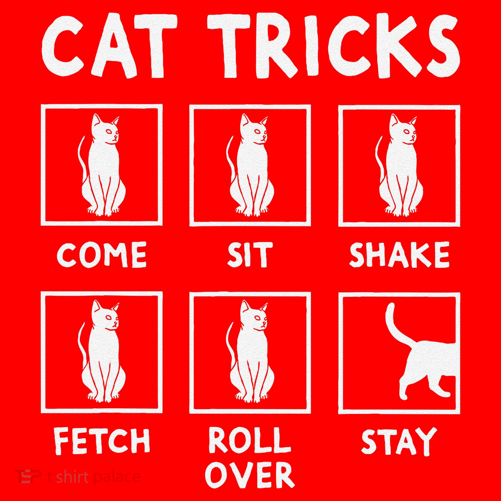 Cat Owner Funny Cat Tricks For Feline Kitten Lover Santa Hat