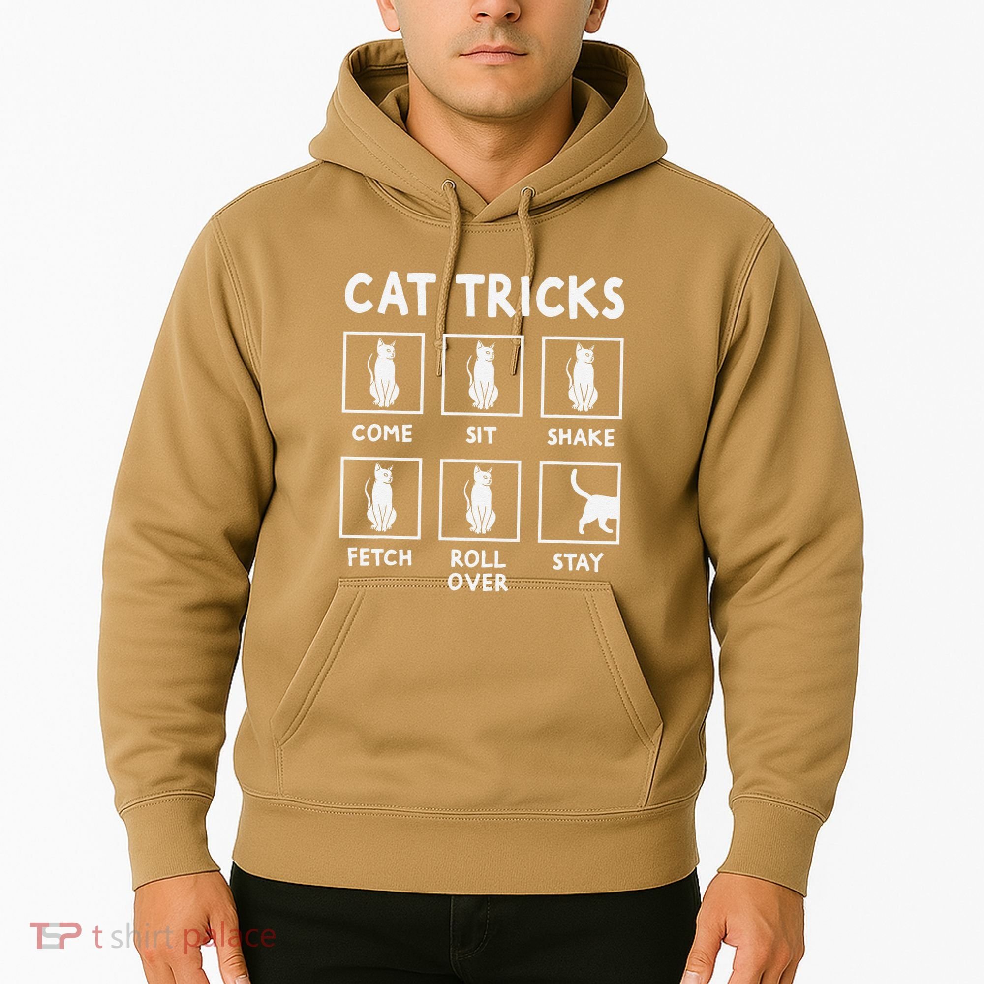 Cat Owner Funny Cat Tricks For Feline Kitten Lover Hoodie