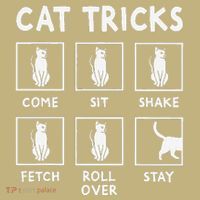Cat Owner Funny Cat Tricks For Feline Kitten Lover Hoodie thumb 7