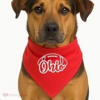 Cool Ohio Football USA-Made Doggie Bandana thumb 1