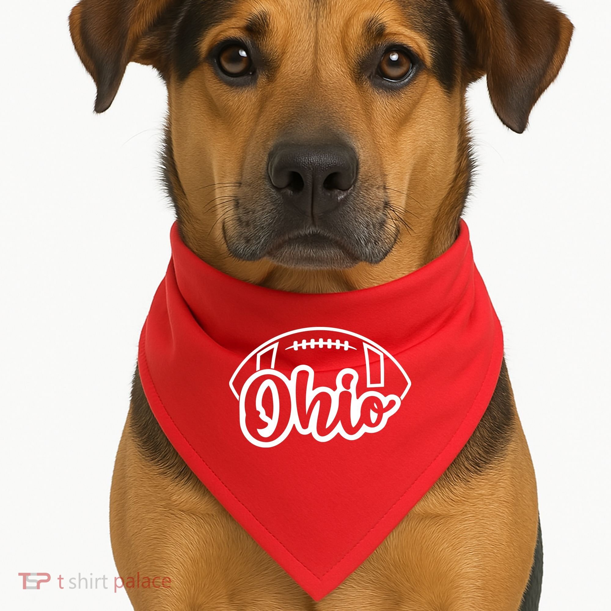 Cool Ohio Football USA-Made Doggie Bandana