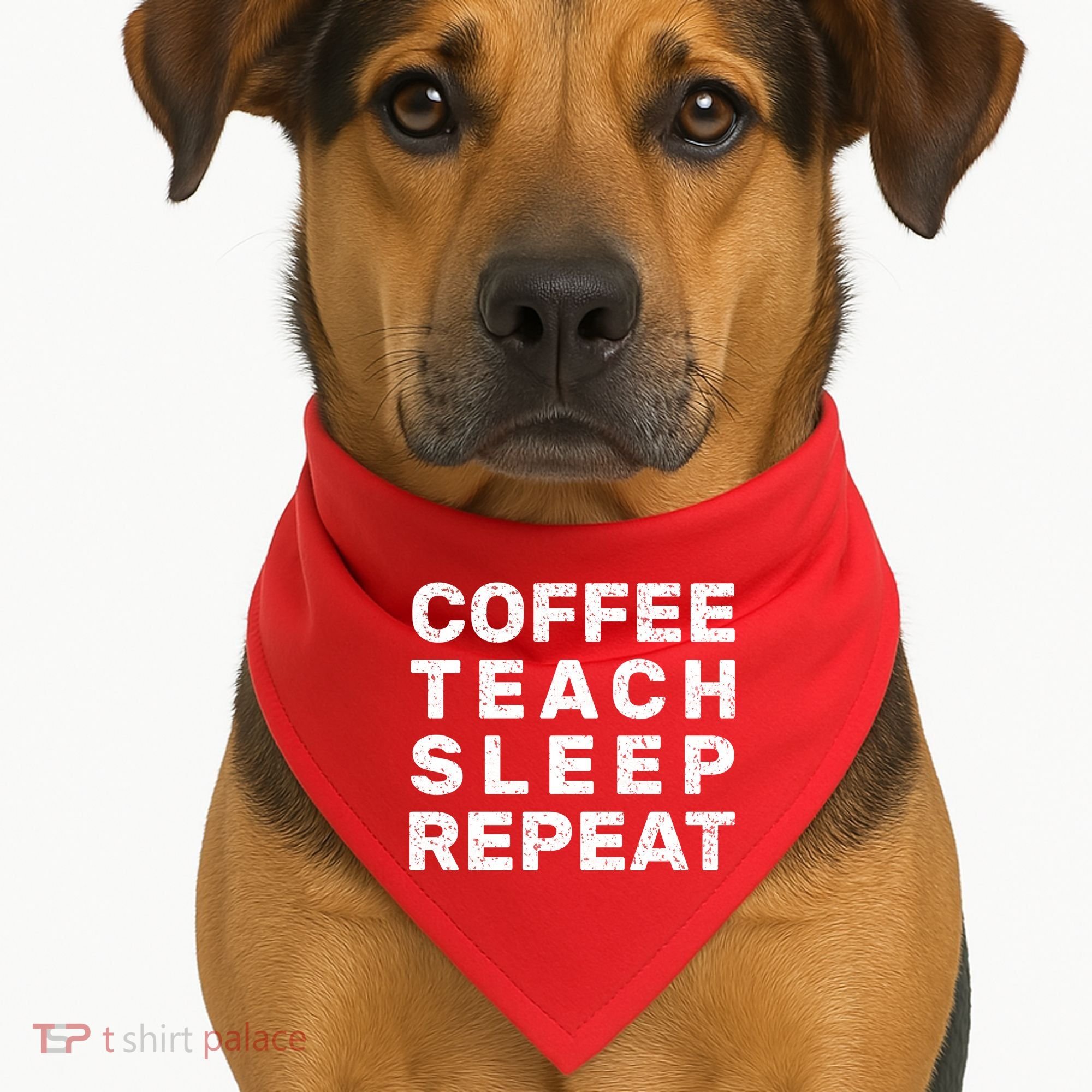 Coffee Teach Sleep Repeat USA-Made Doggie Bandana