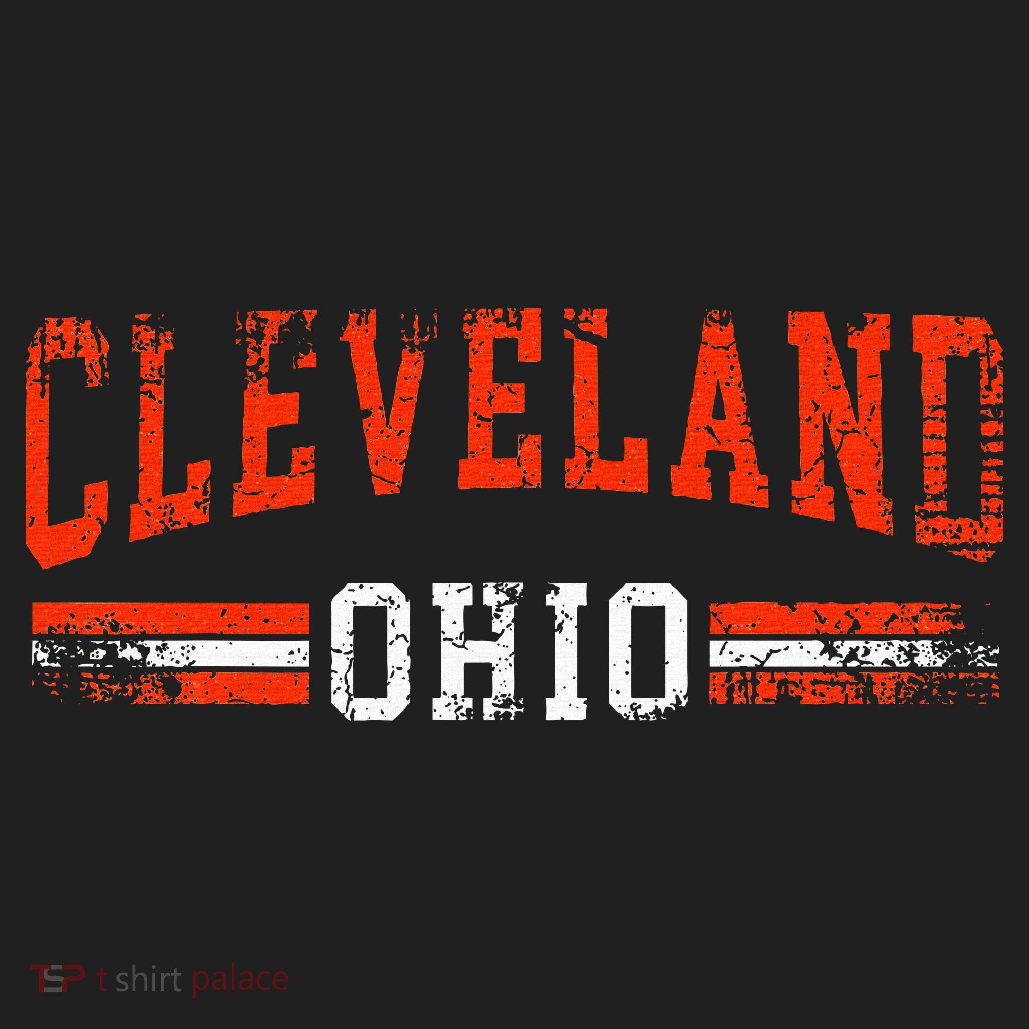 Cleveland Ohio Gift Tumbler