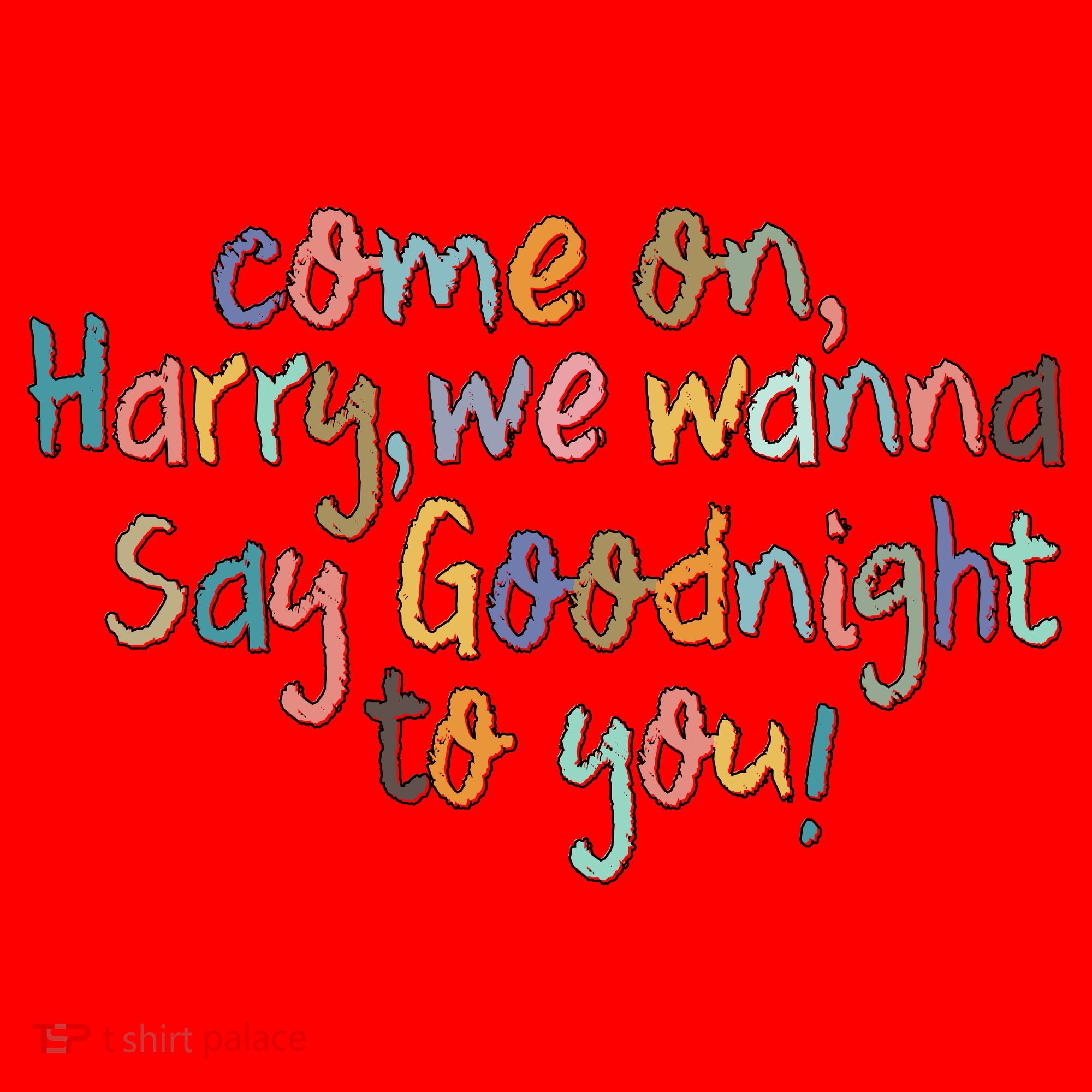 Come On, Harry, We Wanna Say Goodnight To You! As It Was Santa Hat