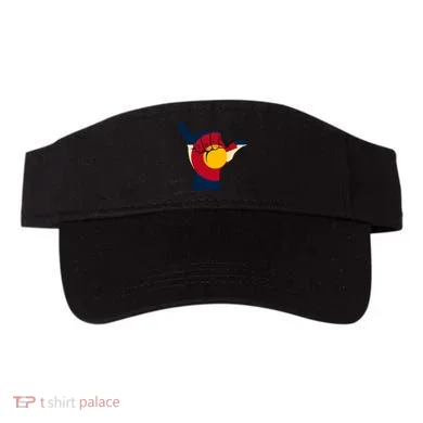 Visor