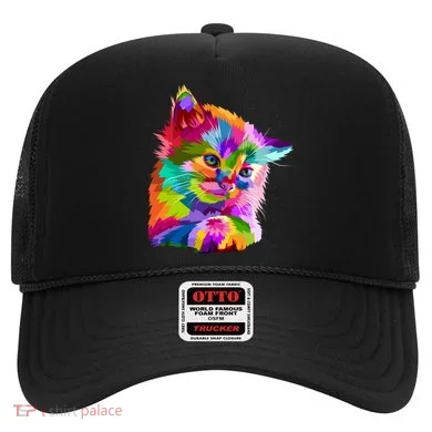 Colorful Atyle Cat Head Pop  Hat