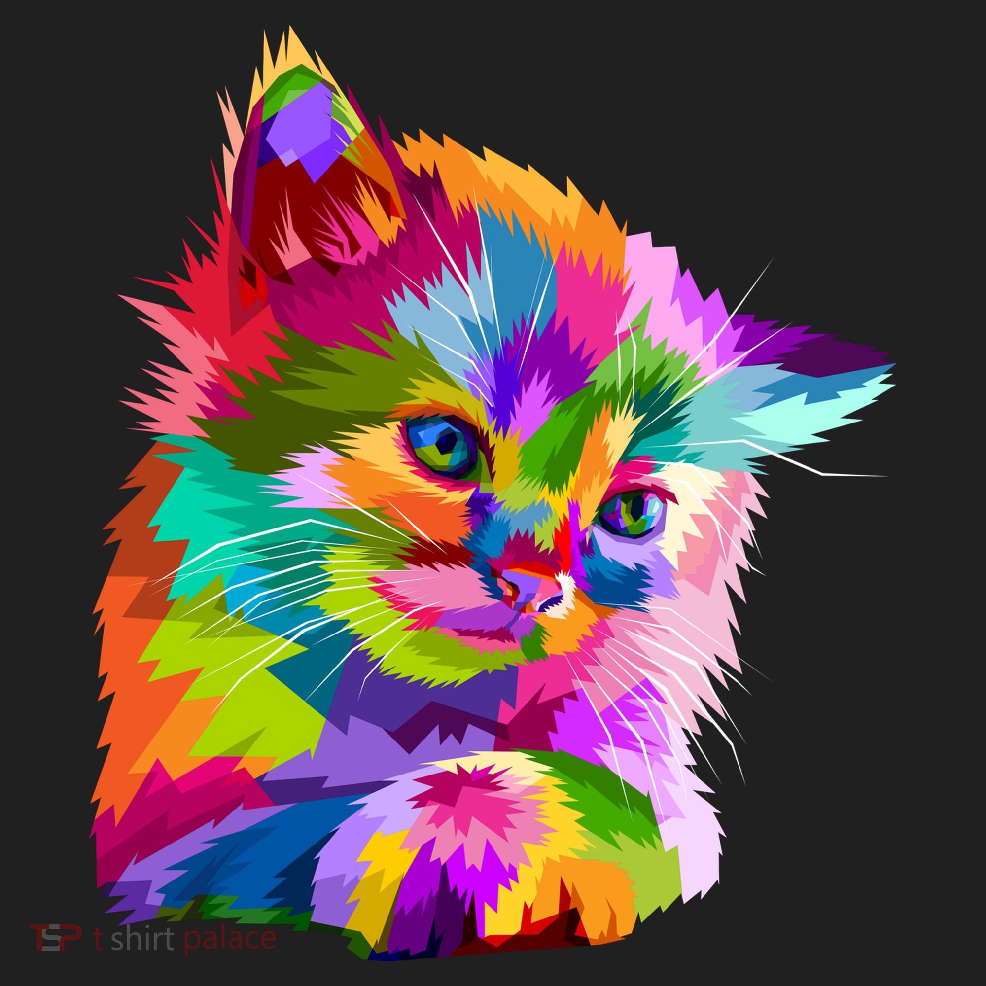 Colorful Atyle Cat Head Pop  Hat