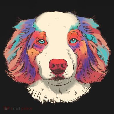 Colorful Australian Shepherd Women's Tri-Blend 3/4-Sleeve Raglan Shirt