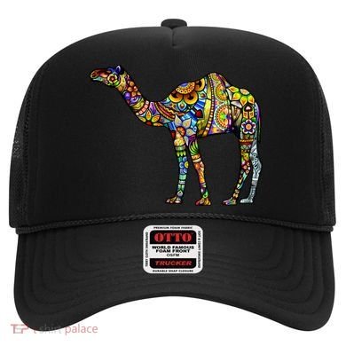 Colorful Camel Hat