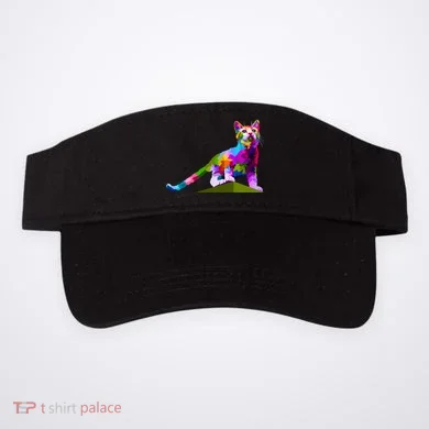 Visor