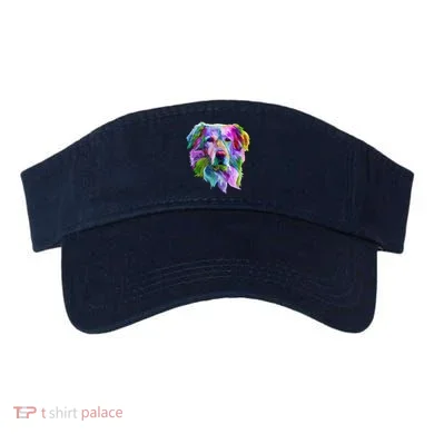 Visor