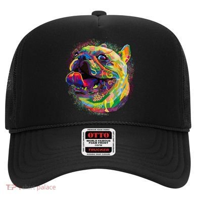 Colorful Happy Pug Smiling Hat
