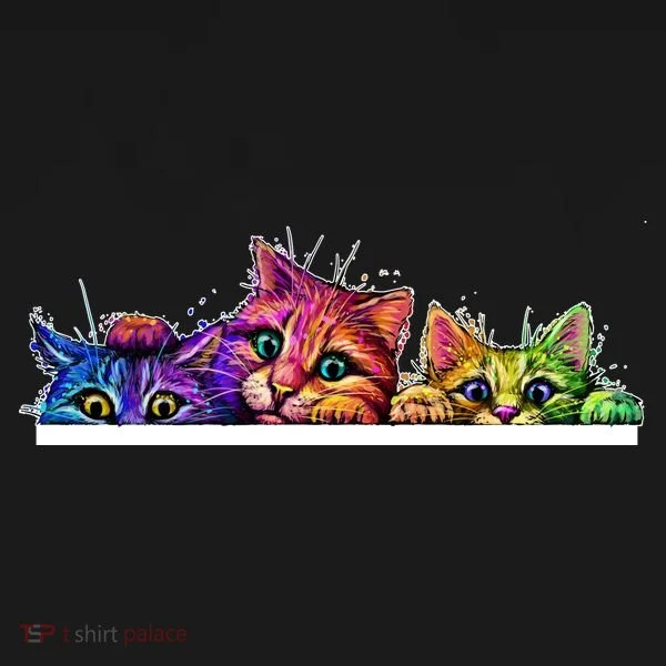 Colorful Kittens Trio Peaking Women's T-Shirt