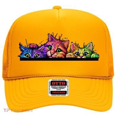 Colorful Kittens Trio Peaking Hat