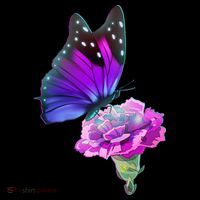 Colorful Neon Butterfly on Flower T-Shirt thumb 7