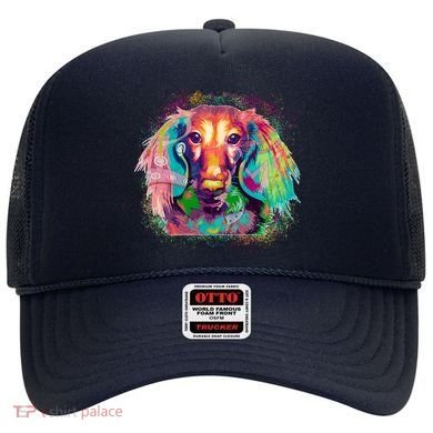 Colorful Pattern Dachshund Dog Hat