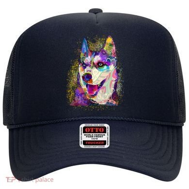 Colorful Siberian Husky Hat