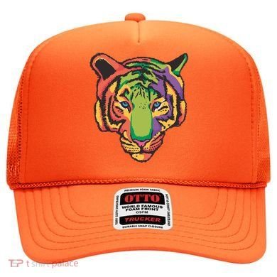 Colorful Tiger Head Hat