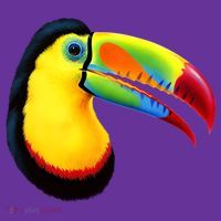 Colorful Toucan T-Shirt thumb 7