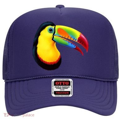 Colorful Toucan Hat