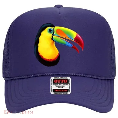 Colorful Toucan Hat