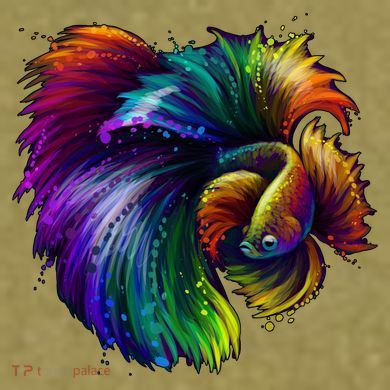 Colorful Tropical Beta Fish Garment-Dyed Women's Muscle Tee