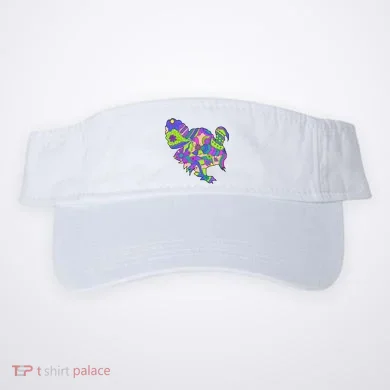 Visor