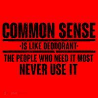 Common Sense Is Like Deodorant Santa Hat thumb 1