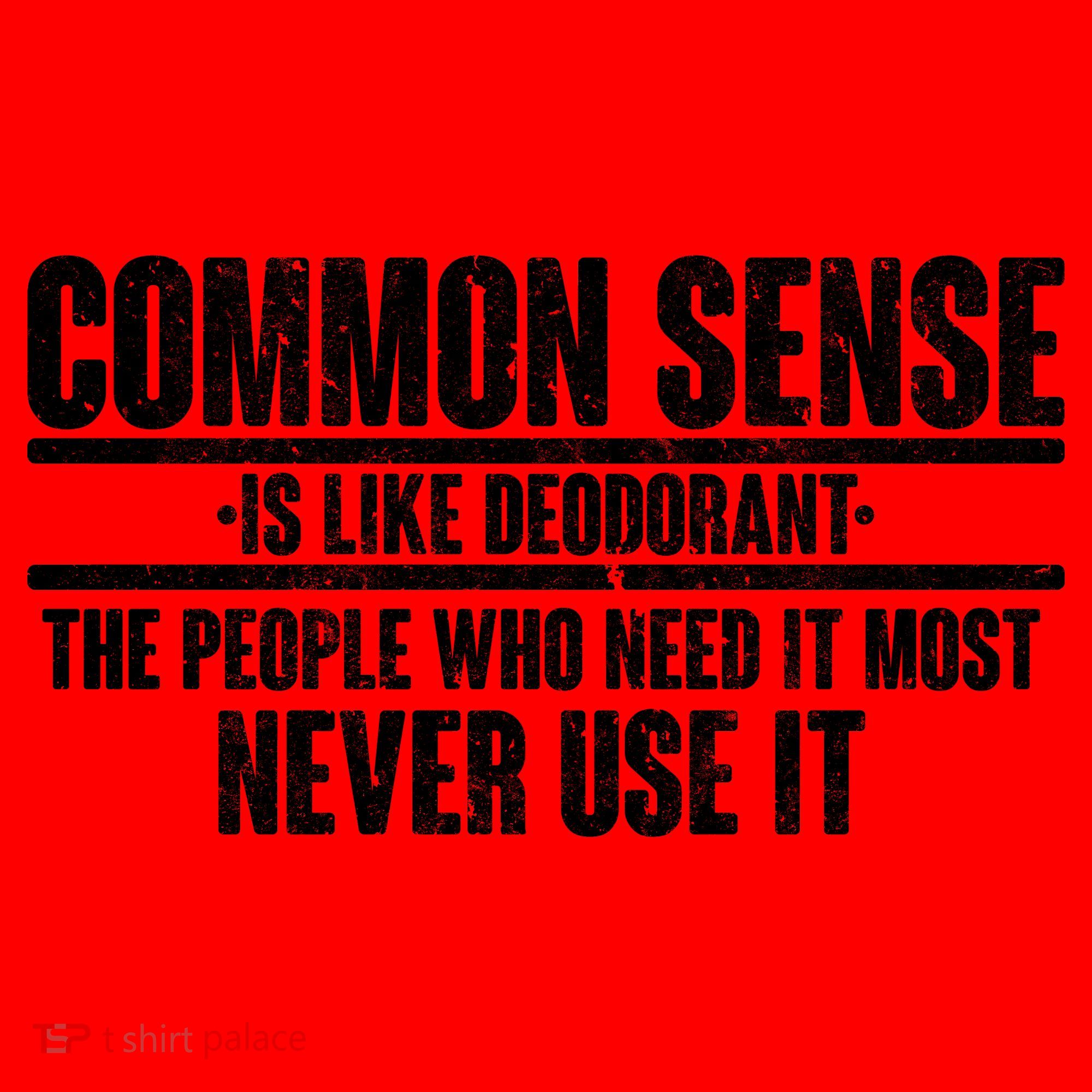Common Sense Is Like Deodorant Santa Hat