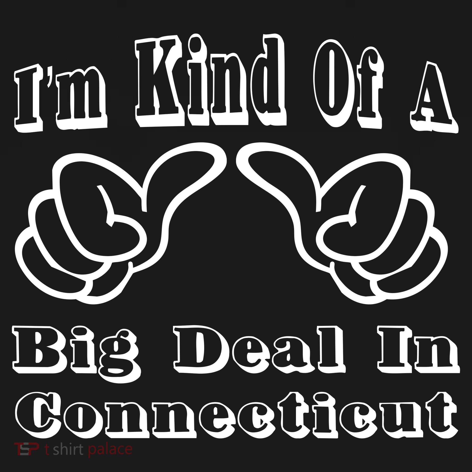 Connecticut Big Deal Women's Hoodie