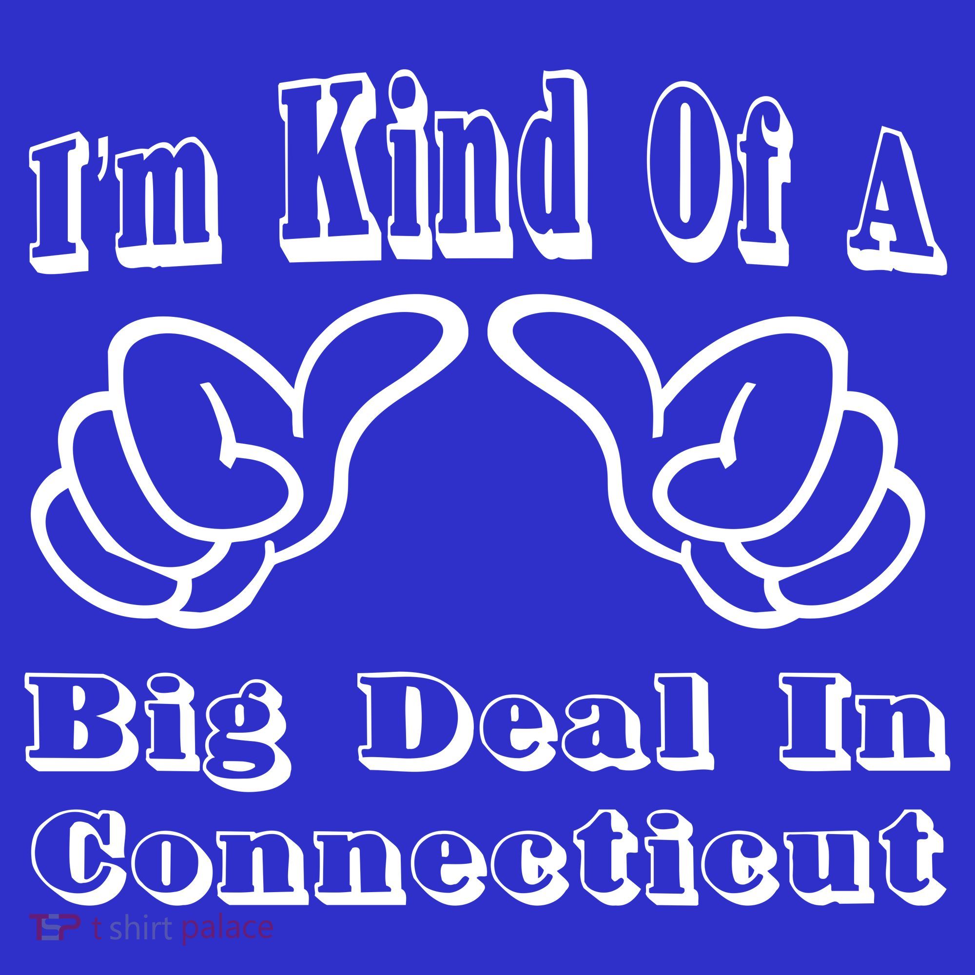 Connecticut Big Deal Women's Tank Top