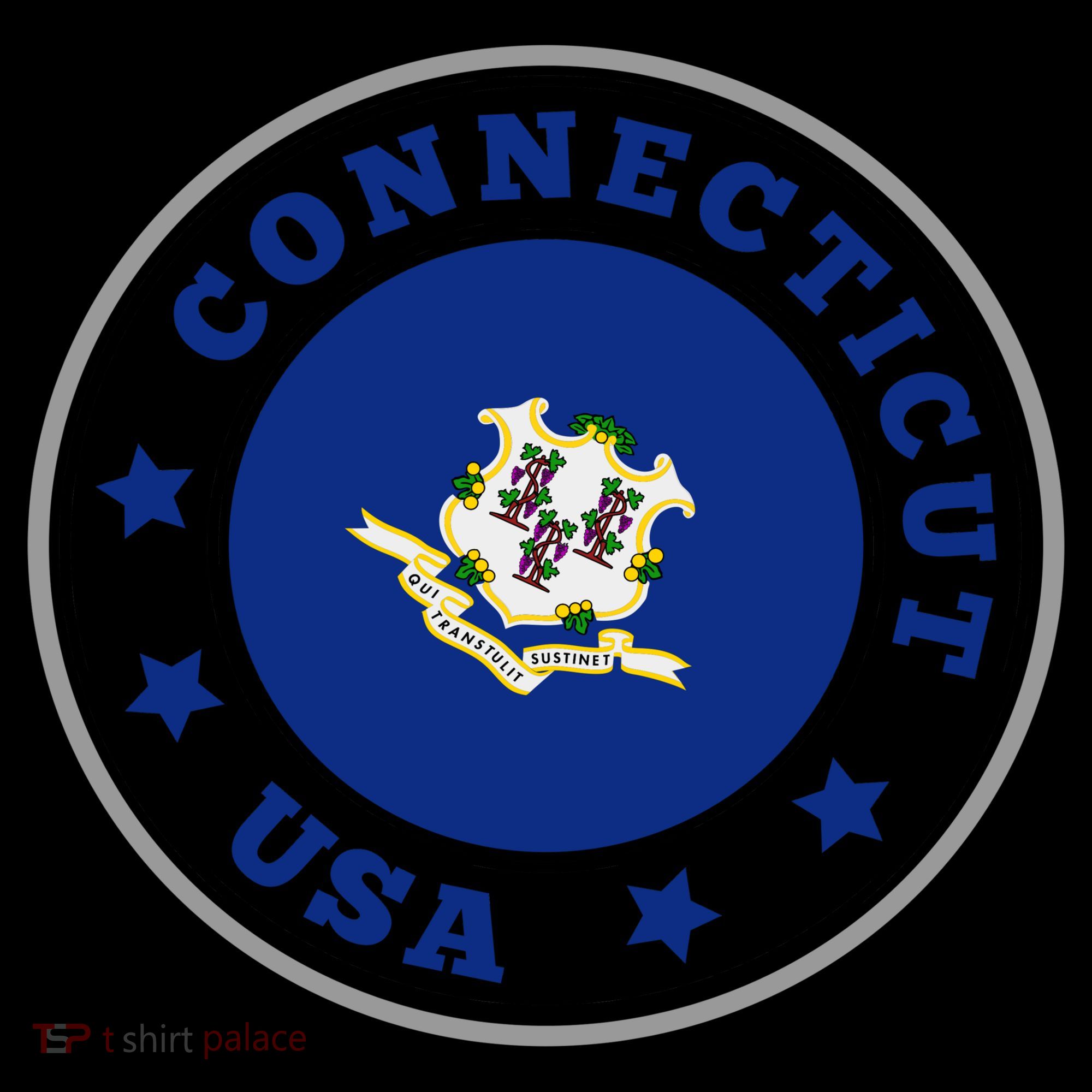 Connecticut State Flag Circle Backpack