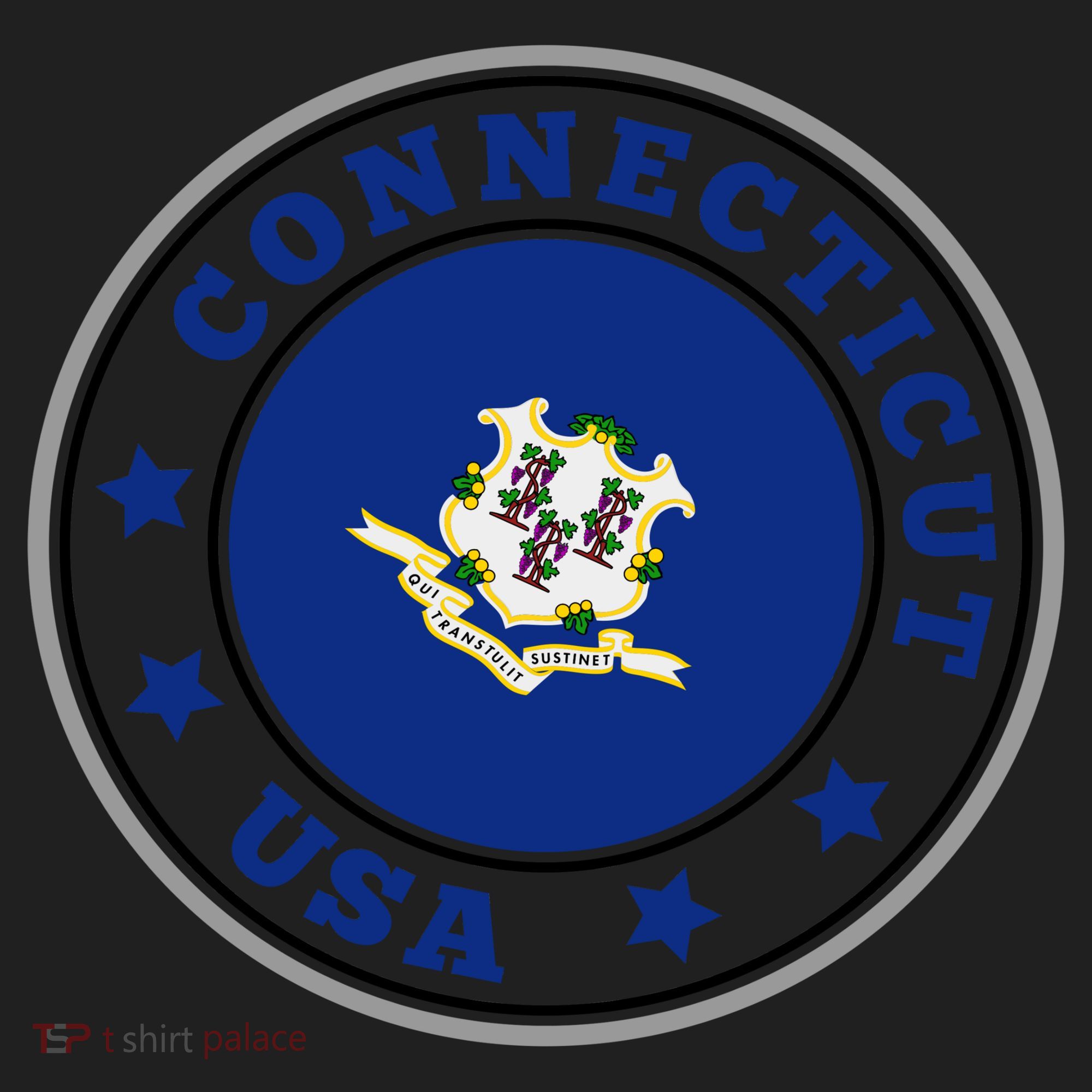 Connecticut State Flag Circle Tumbler