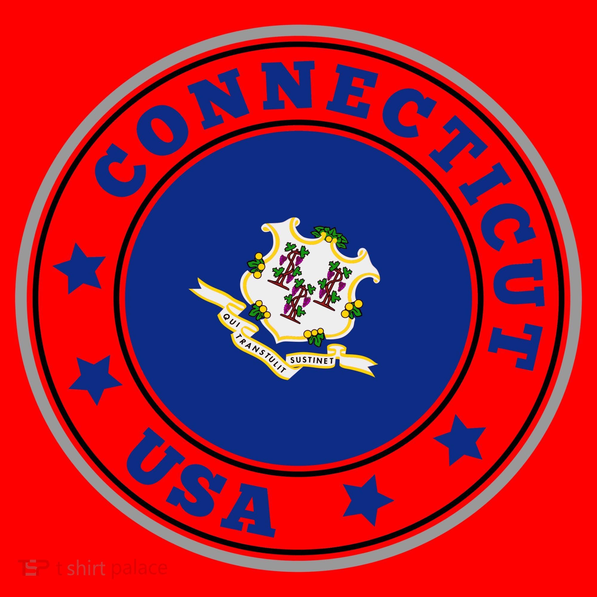 Connecticut State Flag Circle Santa Hat