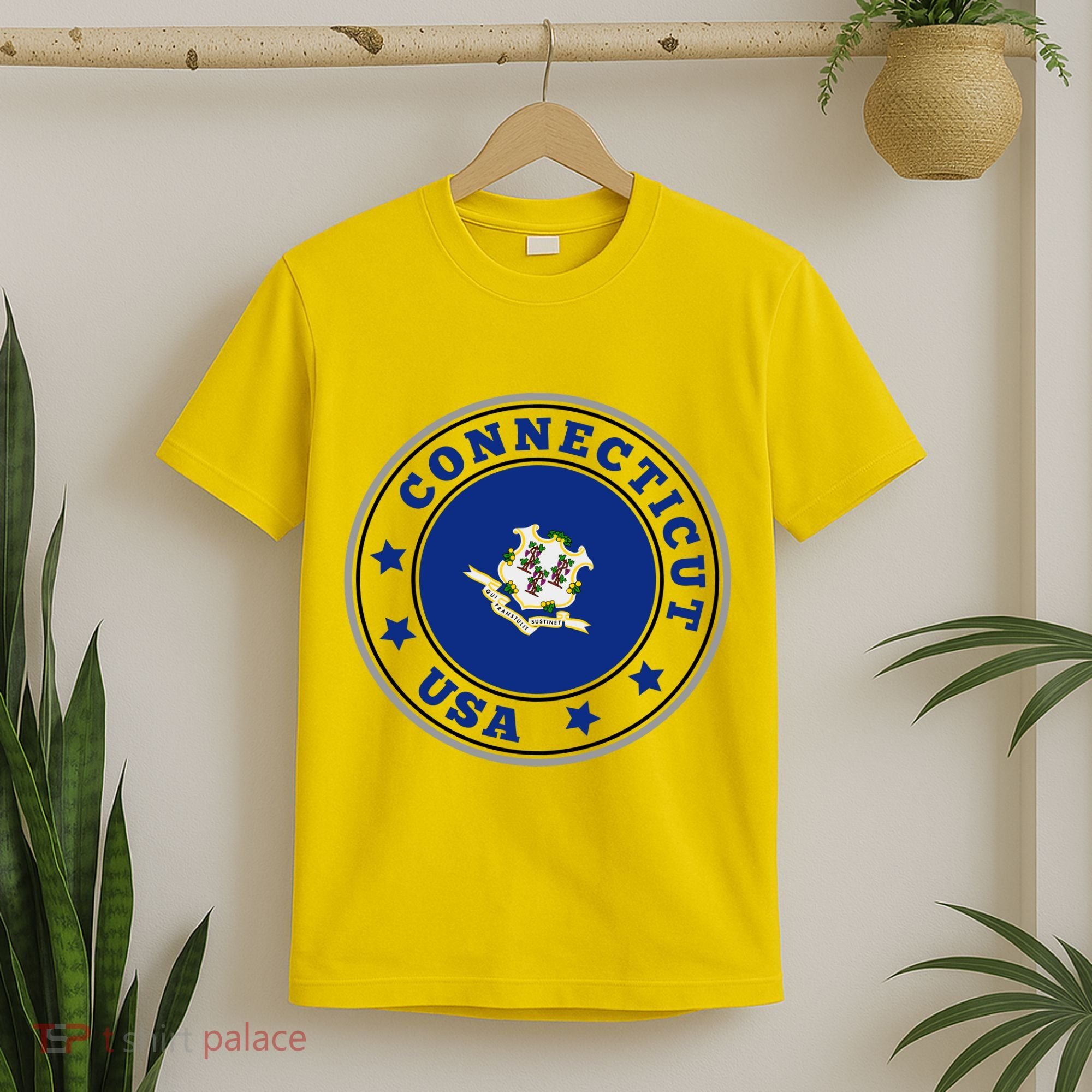 Connecticut State Flag Circle T-Shirt