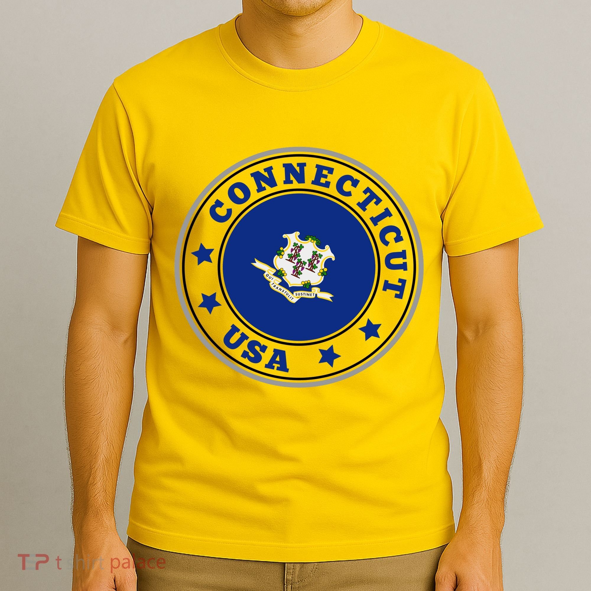 Connecticut State Flag Circle T-Shirt