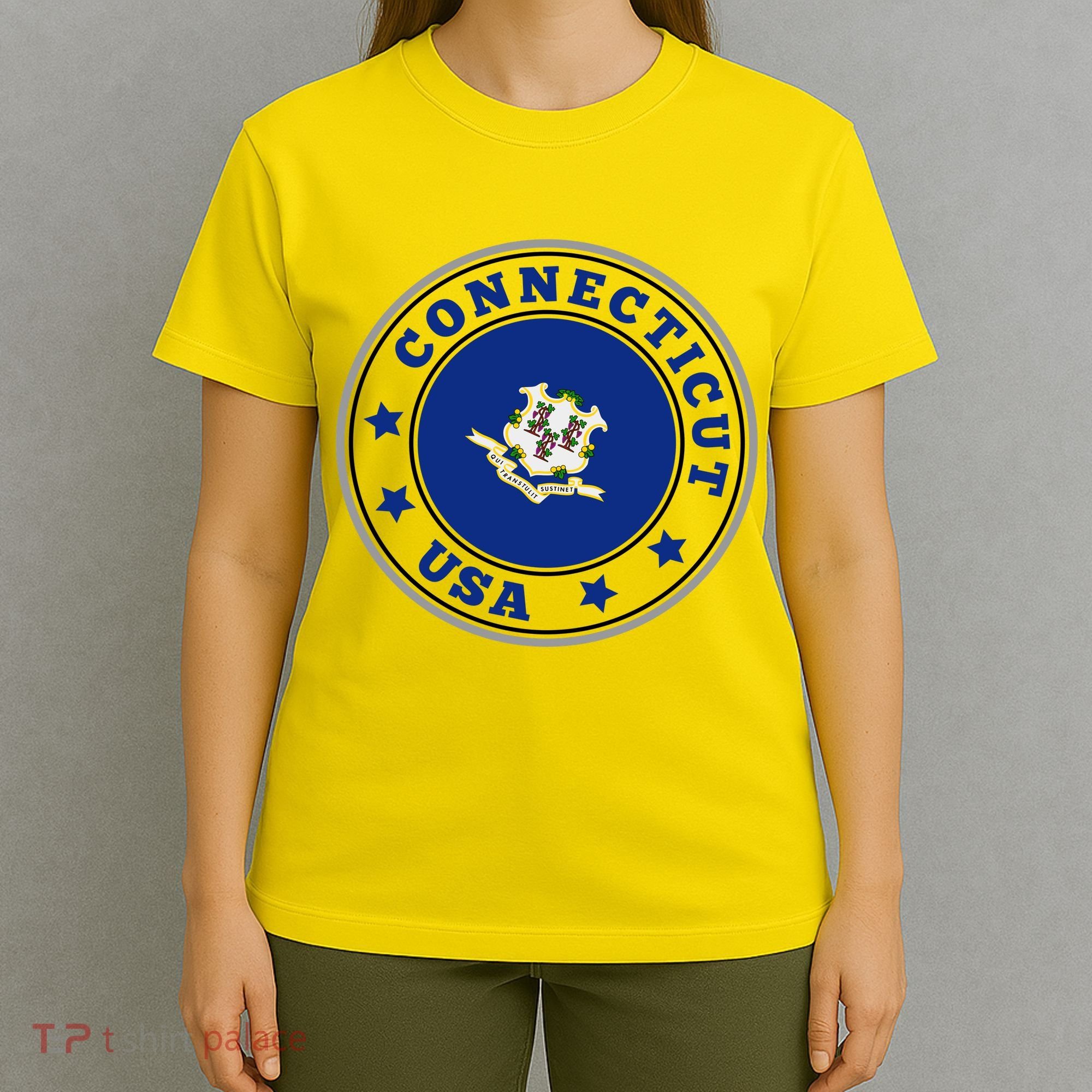 Connecticut State Flag Circle T-Shirt