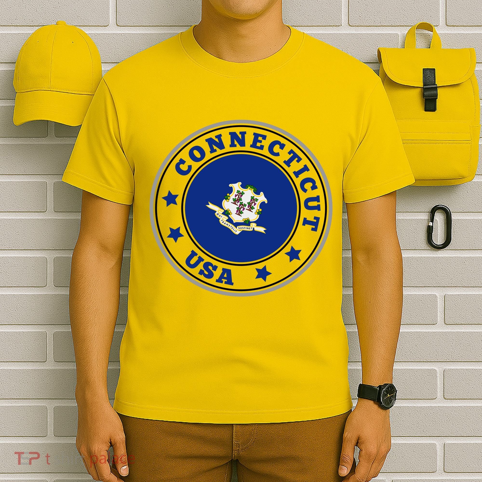 Connecticut State Flag Circle T-Shirt