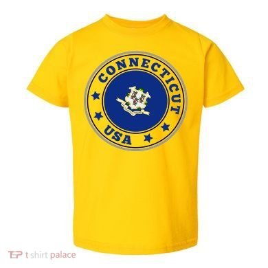 Connecticut State Flag Circle Toddler T-Shirt