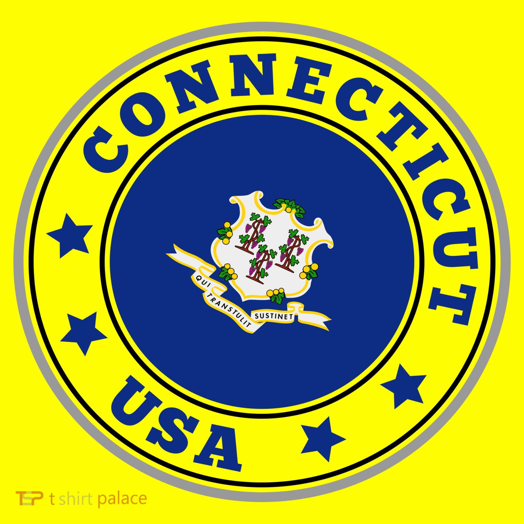 Connecticut State Flag Circle Toddler T-Shirt